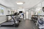 South Tampa Stay Near Bayshore