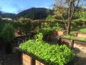 Wine Country Living