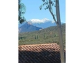 Snow capped paradise in winter