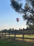Erie Balloon Fest