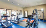 Furnished Home in Litchfield Park