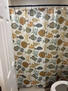 bathroom shower/tub
