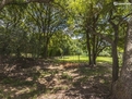 Close to Austin / Pastoral-Quiet-Secure