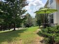 Wooded and shaded backyard.