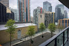 balcony view - apple orchard, city view, quie