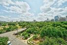 Furnished 2/2 Condo Downtown Austin