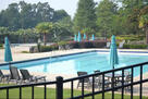 Semi Olympic sized pool next to clubhouse