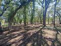 Miller Ranch