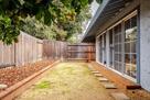 Backyard (2)