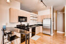 1 BR / 1BTH Loft in Heart of DTC