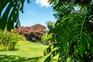 Ocean View 3B2b  Home 800sf OV lanai 