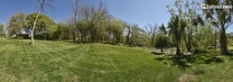 Panorama of Backyard