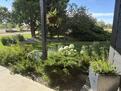 Front Gardens