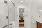Main Bath Shower