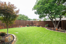 From Patio to Backyard