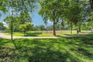 Ball Park