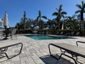 Community Pool Lounge Palm Trees