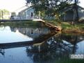 Pondview Furnished House Rental