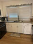 Kitchen Sink Area