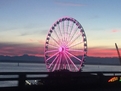 Downtown Seattle & Waterfront 7 mins.
