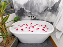 primary bath tub