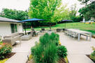 Dining and Lounge Seating