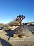 Spacious 3BR 2BA Peaceful Desert Living 