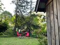 Wisteria Cottage in City of Decatur