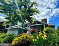 Mature Landscaping