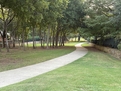 Furnished Family Home McKinney TX
