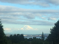 Stunning Views of Mount Rainier.