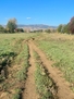 Nearby Walking Path