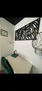 Las Vegas Furnished Post-Modern Beauty