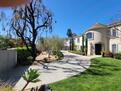 Circular Driveway