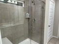 Primary Shower