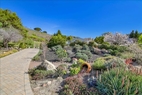 1 acre garden view