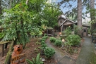 Cozy urban oasis in the garden