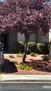 Furnished 3-bdrm home in Green Valley