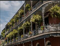 Uptown New Orleans Near Garden District