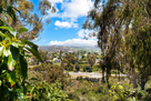 Peaceful Setting at Lake Calavera Preserve