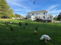 Spacious 5-Bedroom Farmhouse  with Pool