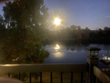 Kickback and Enjoy the Savannah River