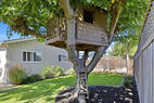 Single Story 4BR Ensuite Treehouse Deck