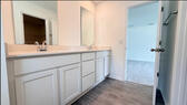 Master bath - sink area