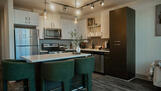 Modern Organic Luxury Loft Downtown Atl