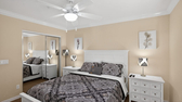 Downstairs bedroom