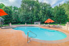 Daytime view of pool and yard