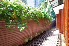 Furnished Home Walkable to Disneyland