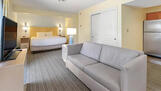 Executive Furnished Studio