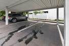Assigned Car Parking spaces